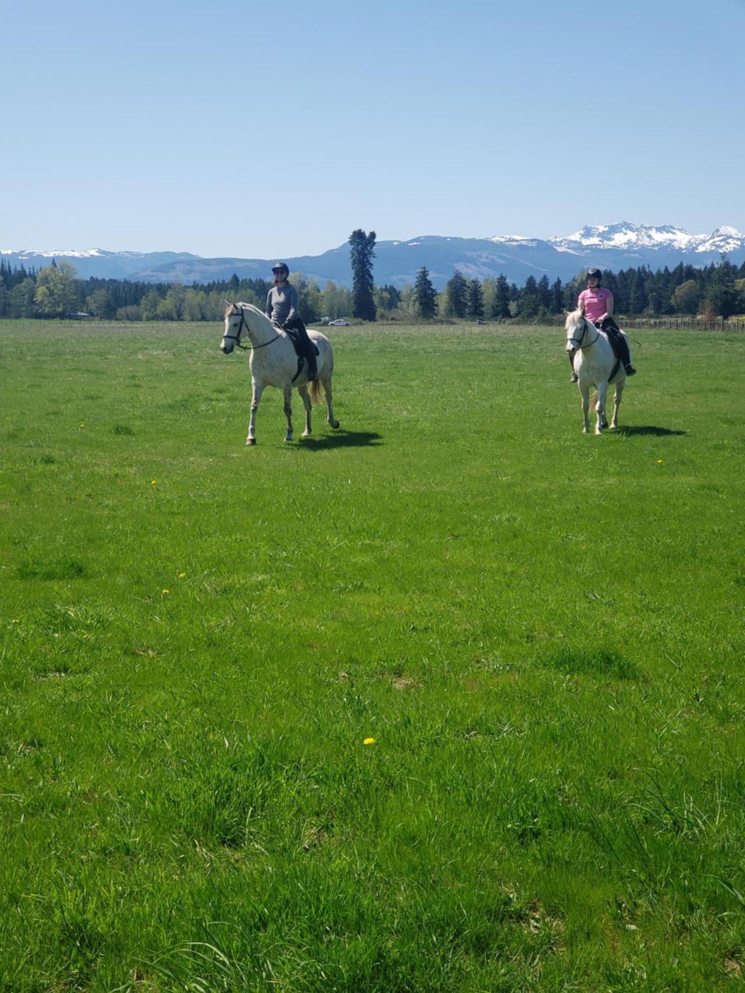 Paradise Acres Ranch Nanoose Bay المظهر الخارجي الصورة