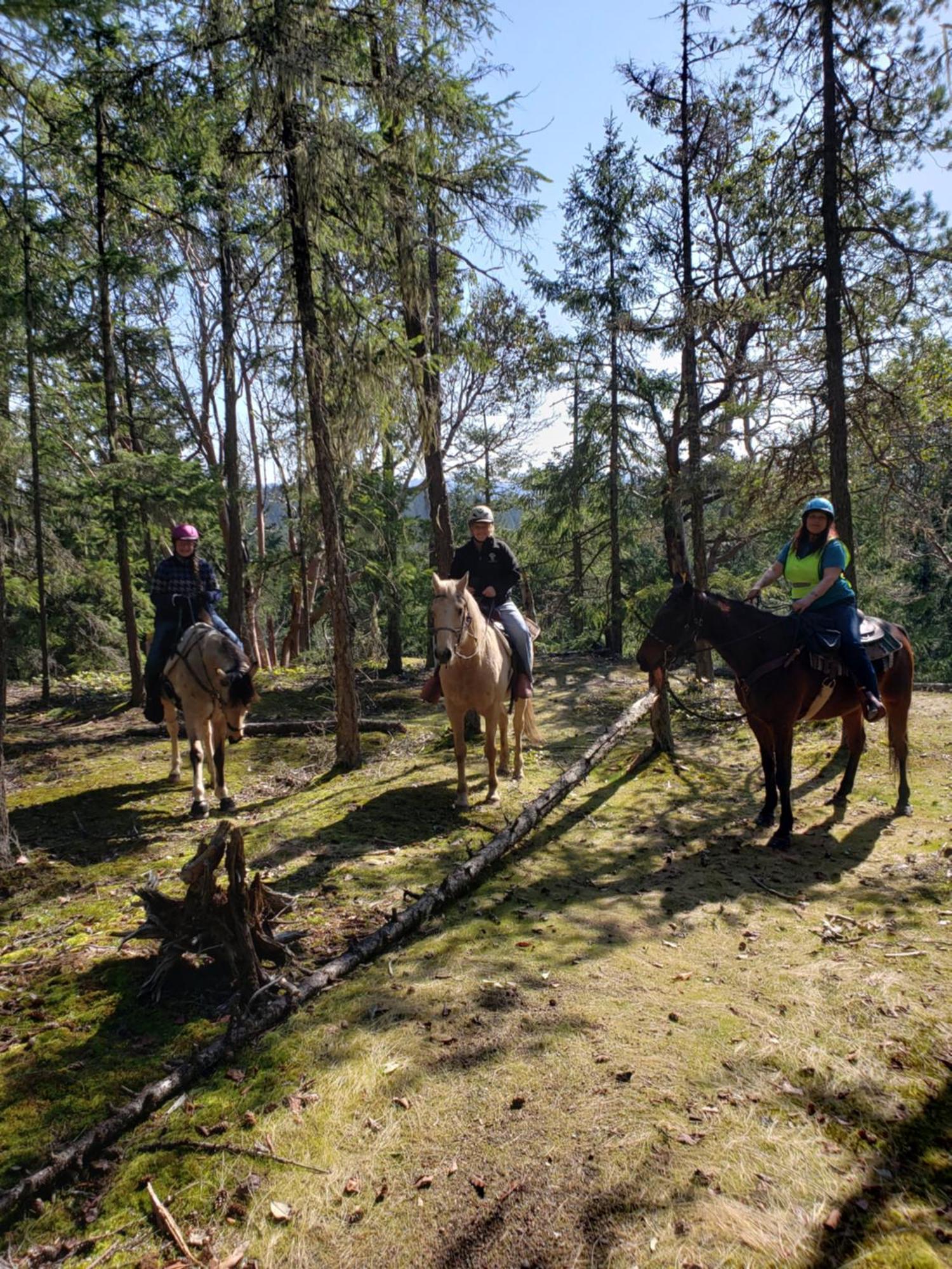 Paradise Acres Ranch Nanoose Bay المظهر الخارجي الصورة