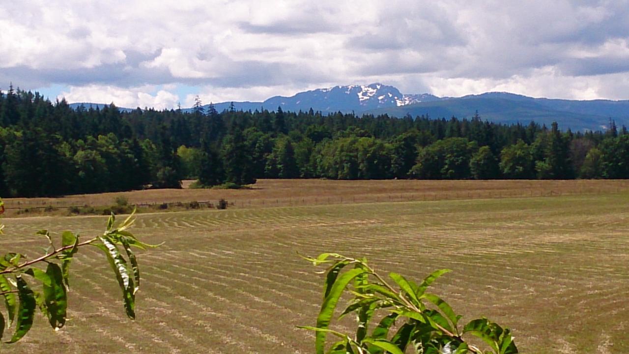 Paradise Acres Ranch Nanoose Bay المظهر الخارجي الصورة