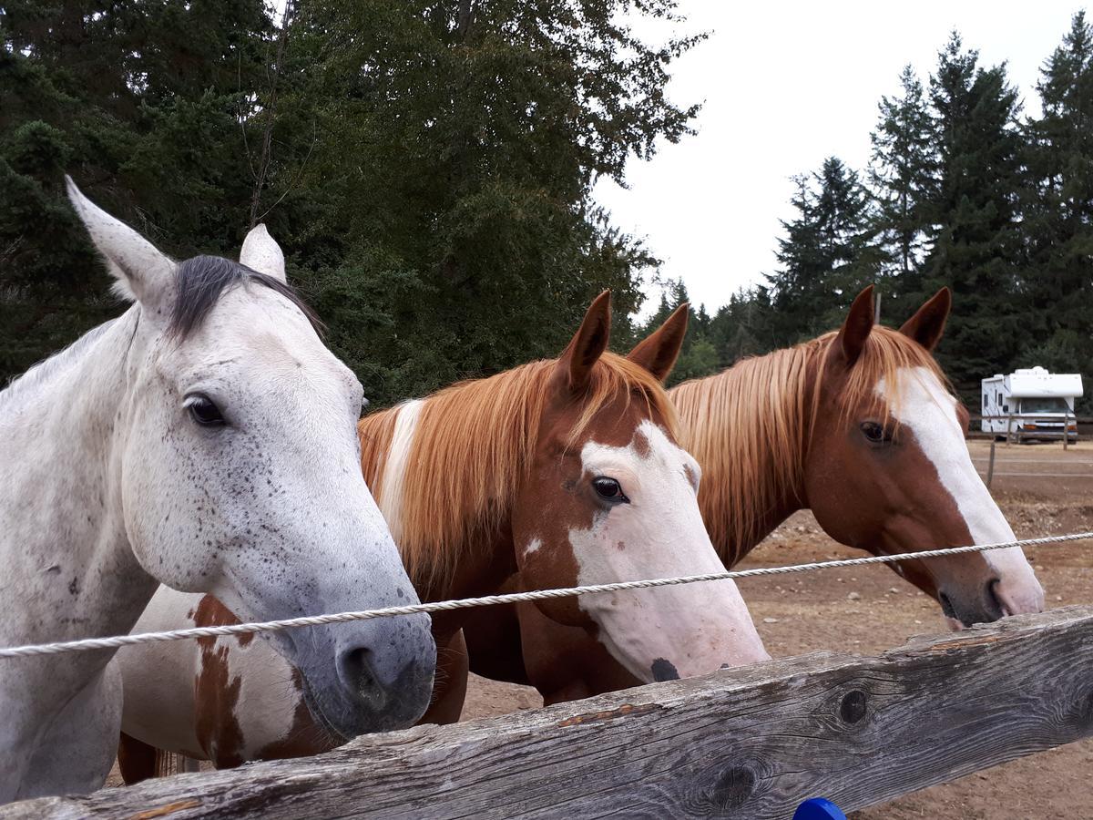 Paradise Acres Ranch Nanoose Bay المظهر الخارجي الصورة