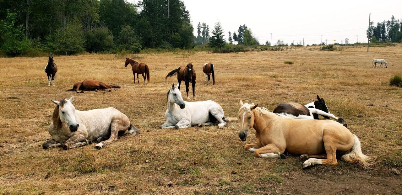 Paradise Acres Ranch Nanoose Bay المظهر الخارجي الصورة