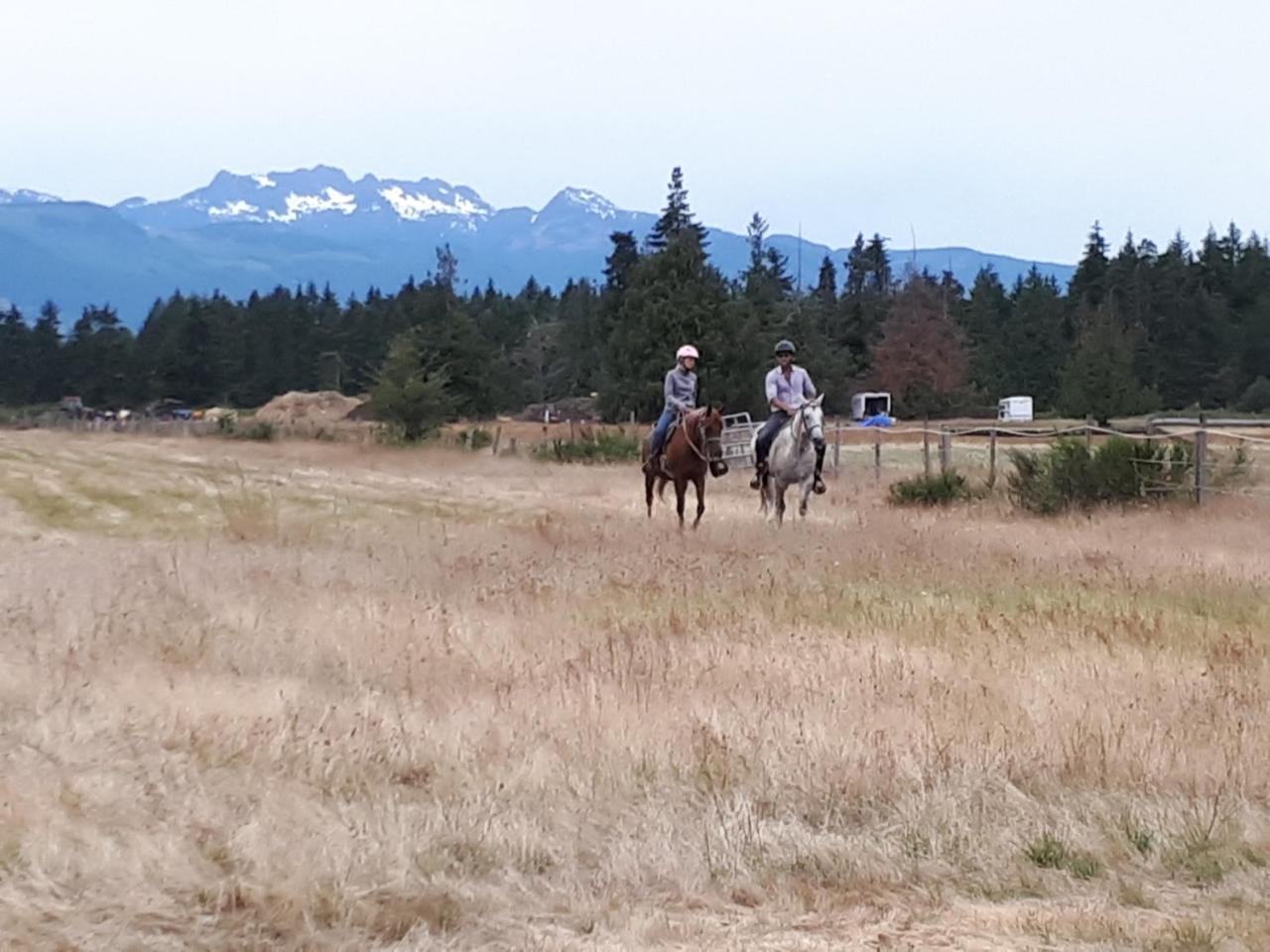 Paradise Acres Ranch Nanoose Bay المظهر الخارجي الصورة