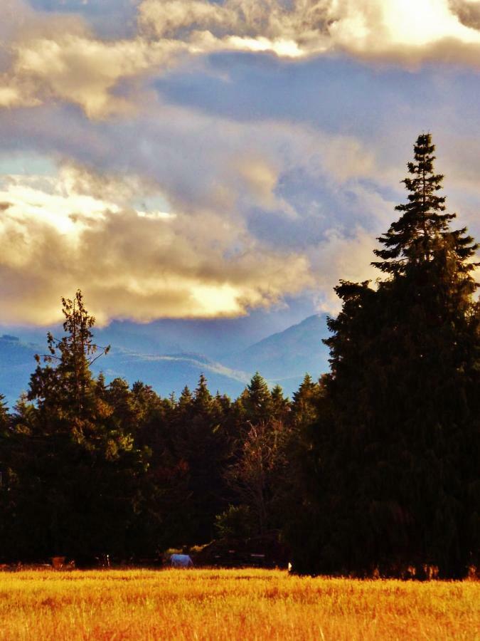 Paradise Acres Ranch Nanoose Bay المظهر الخارجي الصورة